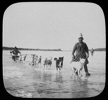 ملف:Goldi men with dog sled on Amur River LCCN2004708050.jpg