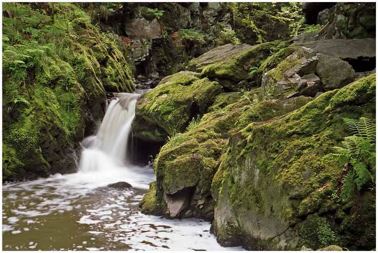 ملف:Údolí Doubravy - Koryto.jpg