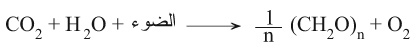 ملف:9165-5.jpg