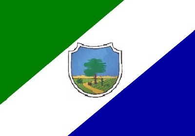 ملف:Bandeira barauna.jpg