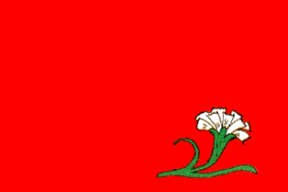 ملف:Kaissy Flag.png