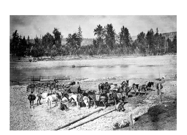 ملف:Mule Train at Quesnel River.gif