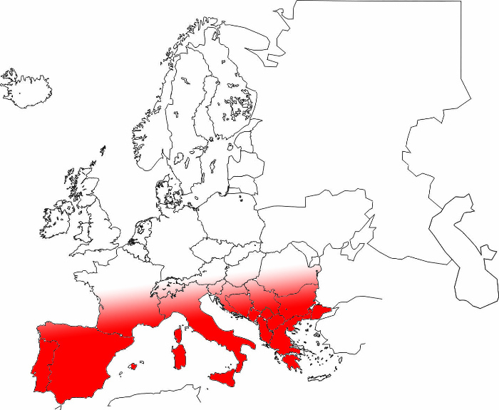 ملف:SEUROPE.jpg