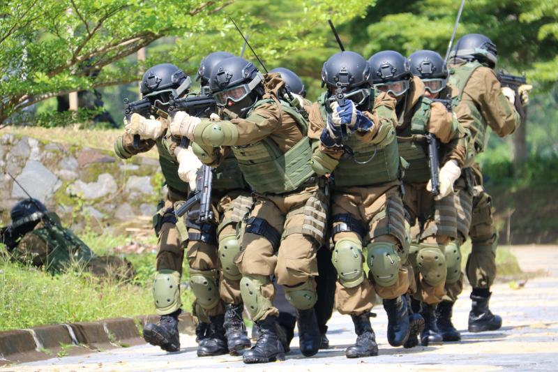 ملف:Tniadkostrad.jpg