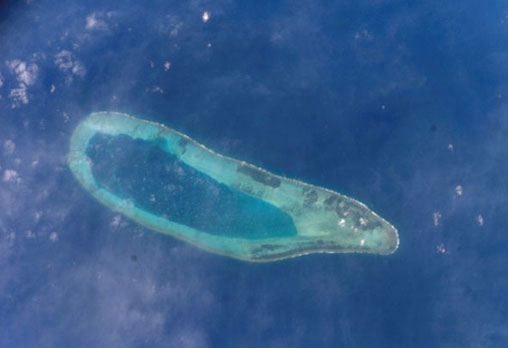 ملف:BombayReef.jpg
