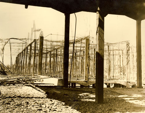 ملف:Incendio frimisa.jpg
