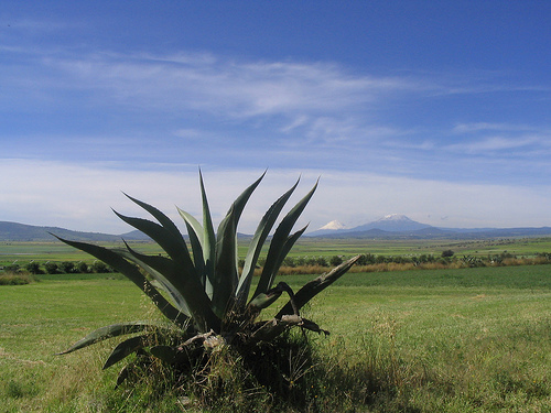 ملف:Llanos de Apan.jpg