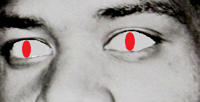 ملف:Mantis in 死亡的遊戲.png