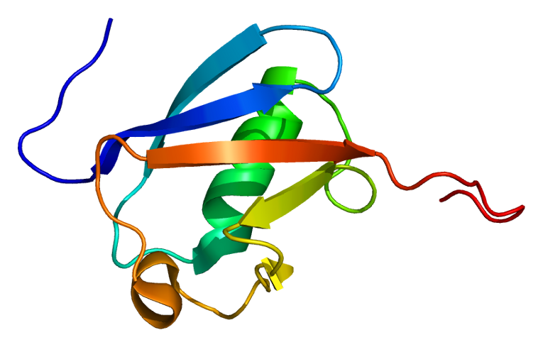 ملف:Protein OASL PDB 1wh3.png