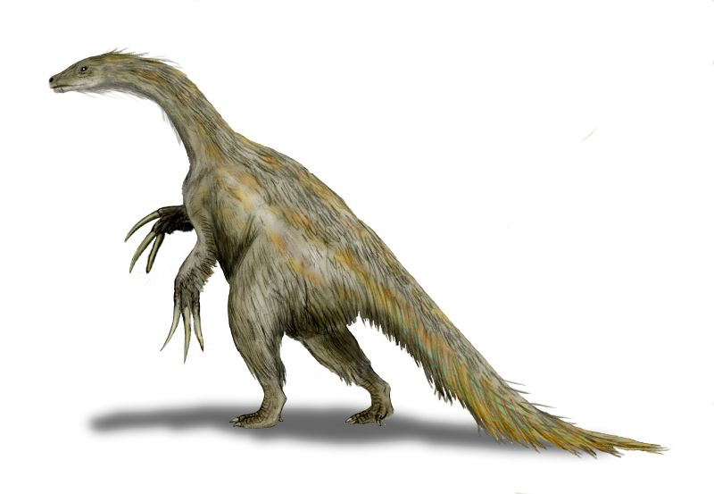 ملف:Nothronychus BW2.jpg