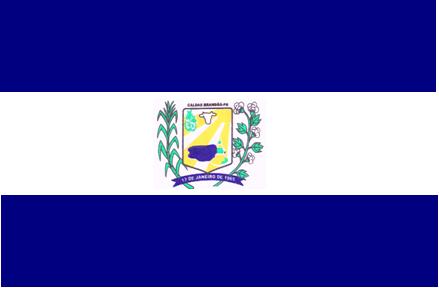 ملف:BANDEIRA CAJA.jpg