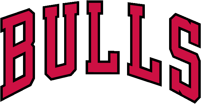 ملف:Chicago Bulls wordmark.gif