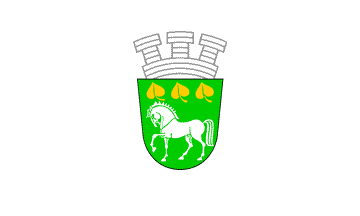 ملف:Flag of Krumovgrad.gif