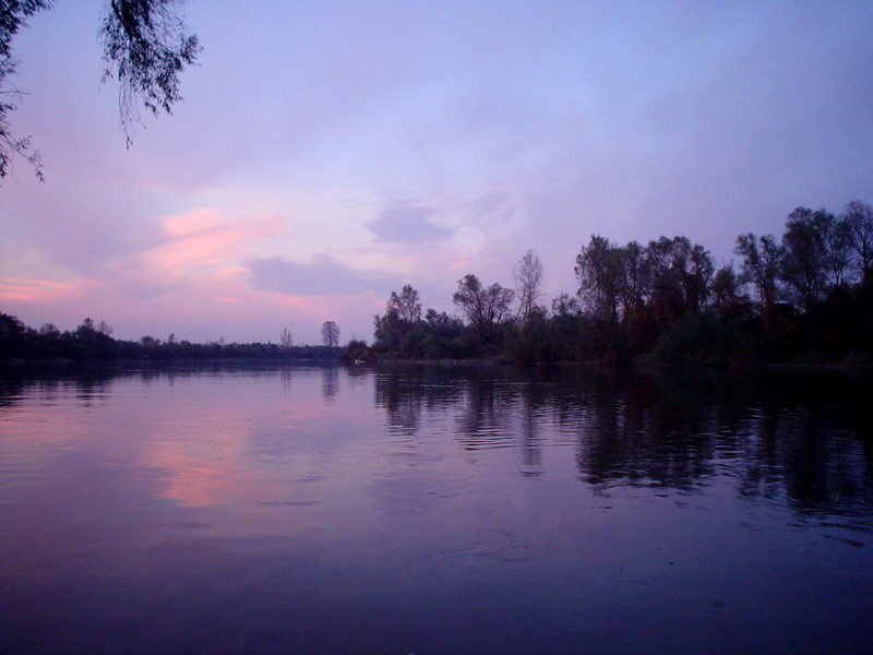 ملف:Morava river2.jpg