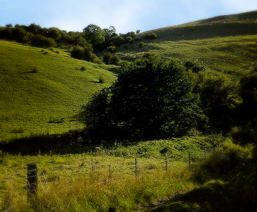 ملف:Track up Haven Hill (112355 c275629c-by-Ralph-Mills).jpg