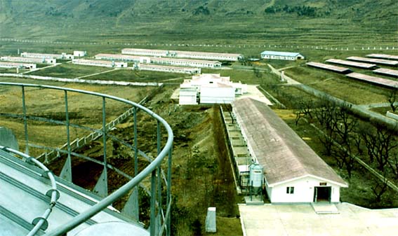 ملف:Granja de Pollos Hungju.jpg