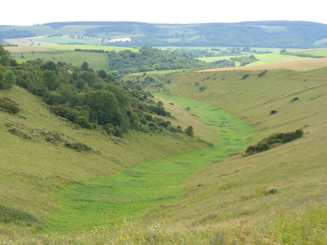 ملف:Dry Valley Near Rackham Hill - geograph.org.uk - 548019.jpg