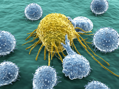 ملف:Lymphocytes attacking cancer cell.jpg