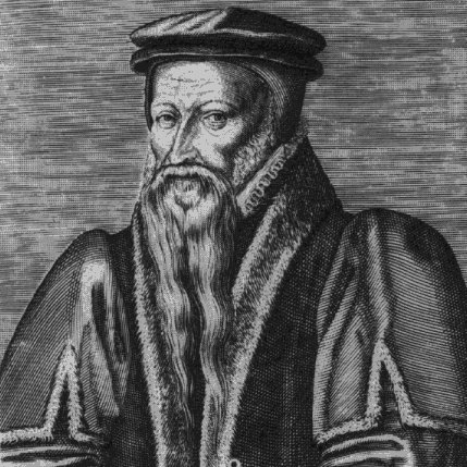 ملف:Theodore de Beze.jpg