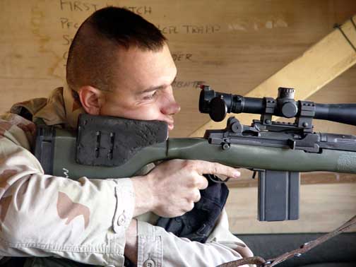 ملف:Designated Marksman Rifle 2.jpg