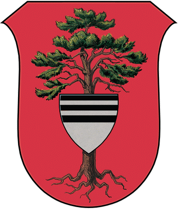 ملف:Tyniste nad Orlici CoA CZ.png