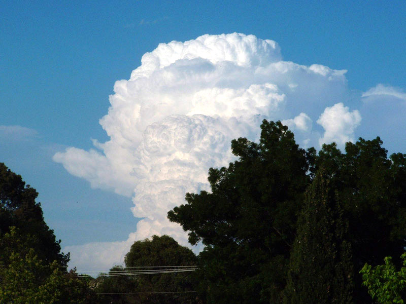 ملف:Wagga-Cumulonimbus.jpg