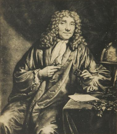 ملف:Antoni van Leeuwenhoek.png
