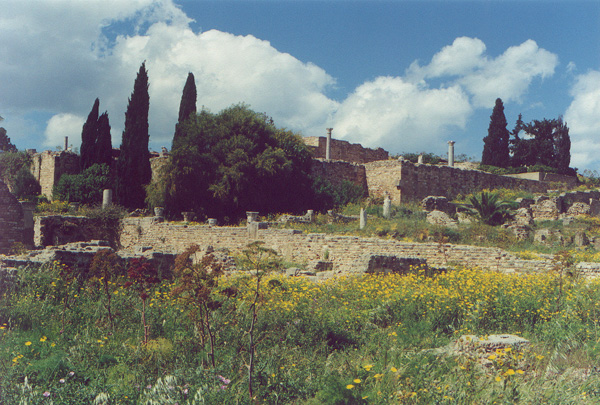 ملف:Roman-Villas-Carthage.jpg