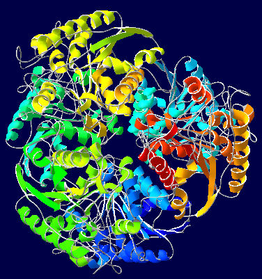 ملف:Arginase-1CEV.jpg