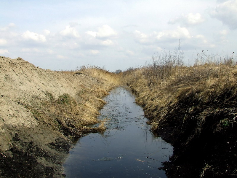 ملف:Vinksnupys (Kauno raj.).jpg