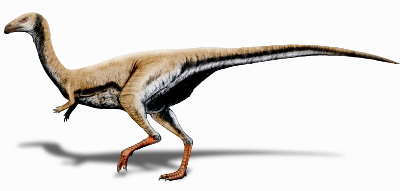 ملف:Limusaurus inextricabilis.jpg