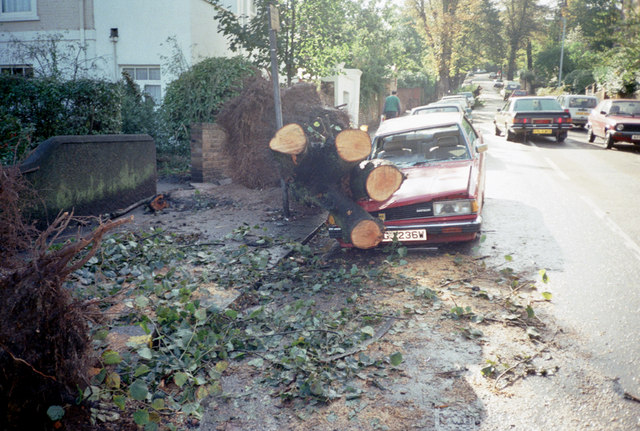 ملف:Aftermath of the Great Storm of 1987.jpg