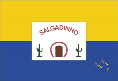 ملف:Bandeira Município Salgadinho Pernambuco.jpg