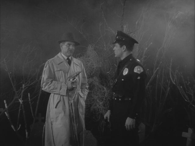 ملف:PlanNine 06.jpg