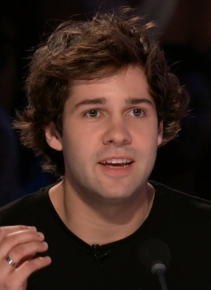 ملف:DavidDobrikAMMF2019 (cropped).jpg