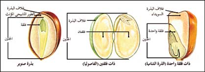 ملف:25 154830 27.jpg