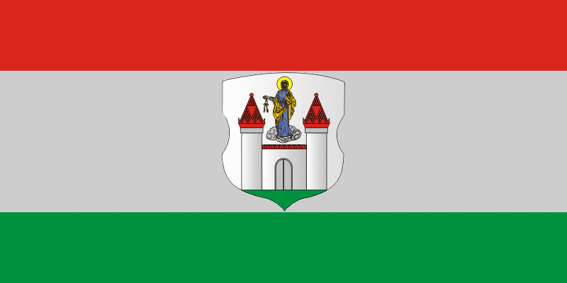 ملف:Flag of Barysau.gif