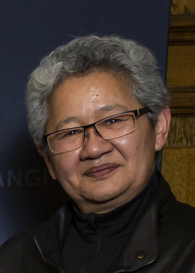 ملف:Linda Waimarie Nikora at 2019 Research Honours Aotearoa (cropped).jpg