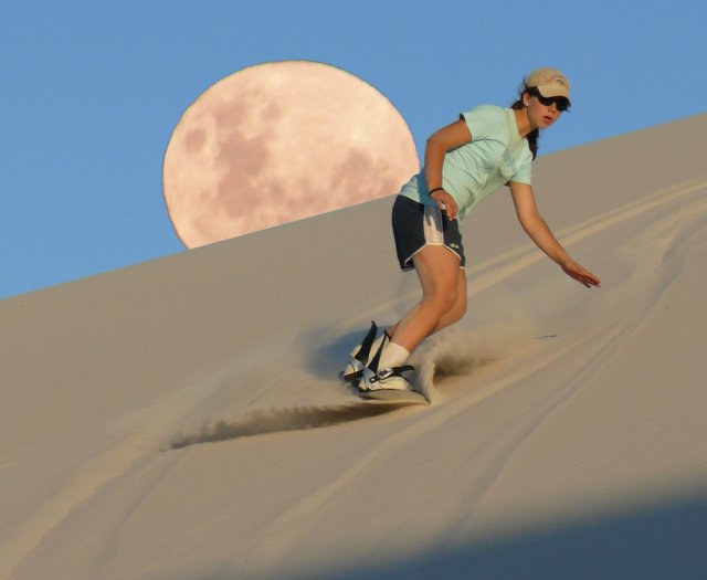 ملف:Ladybirdsandboarding.jpg