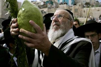 ملف:Yemenite.jpg