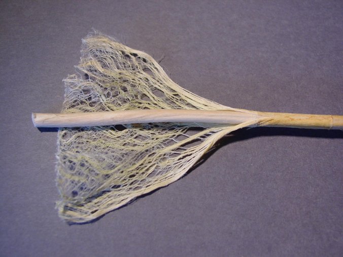 ملف:Hemp stem fibre1.jpg