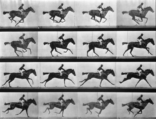ملف:Le-galop-de-daisy.jpg