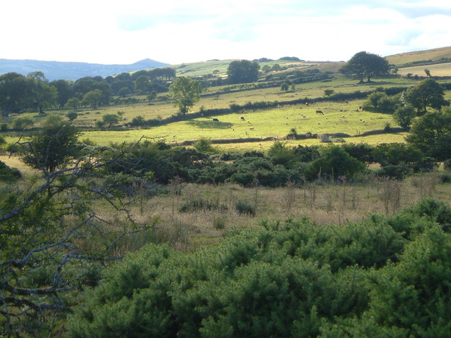 ملف:Colly Brook valley - geograph.org.uk - 212330.jpg