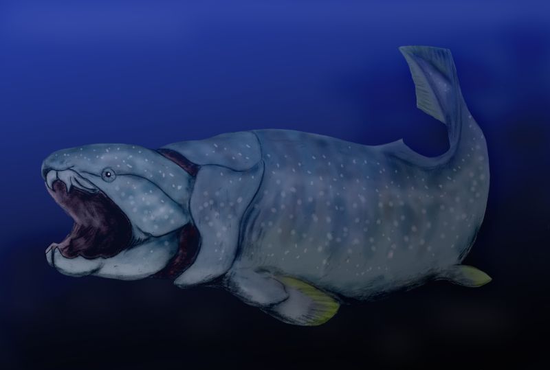 ملف:Dunkleosteus BW.jpg