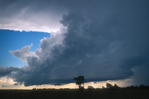 ملف:Cumulonimbus-tav.jpg