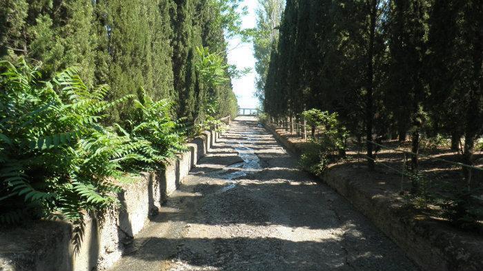 ملف:Едыфлер на территории ОЗК "Семидворье".jpg