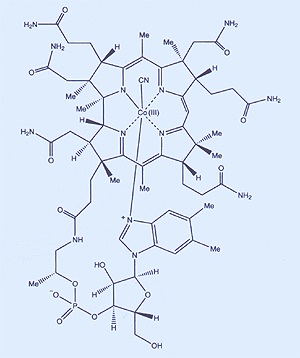 ملف:Dorothy Hodgkin B12 Molecular Structure.jpg