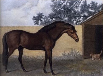 ملف:Godolphin Arabian.jpg
