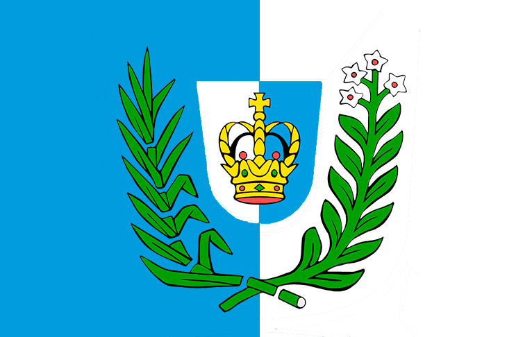 ملف:BANDEIRA-TEODORO-SAMPAIO.png