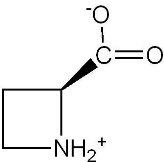 ملف:S-(-)-Azetidine-2-carboxylate.png